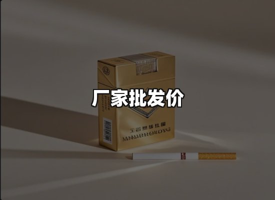 专业优势